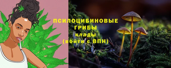 круглые Алексин