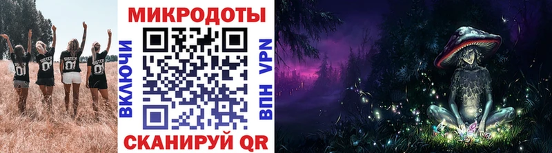 где купить   Андреаполь  Галлюциногенные грибы GOLDEN TEACHER 